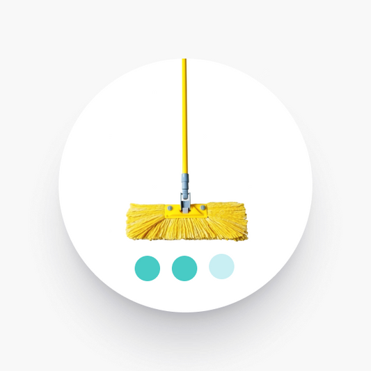 Standard Cleaning